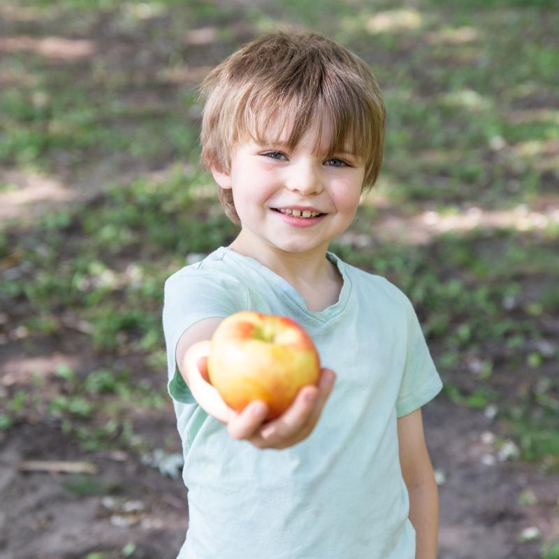 Young boy holding an apple