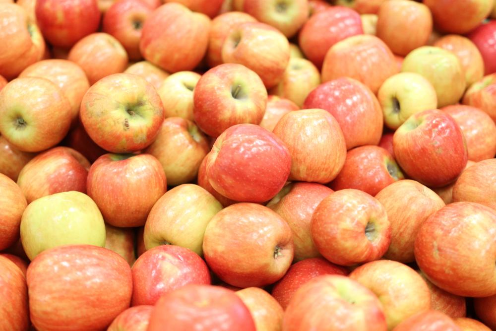 Large group of red apples