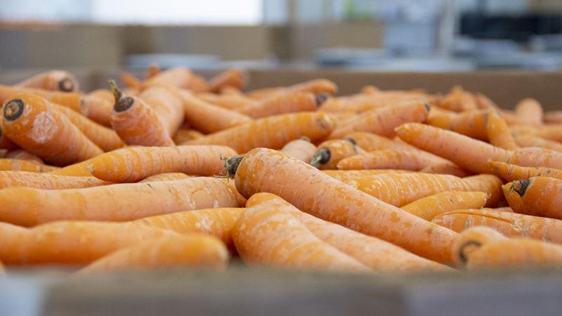 Carrots Carrots