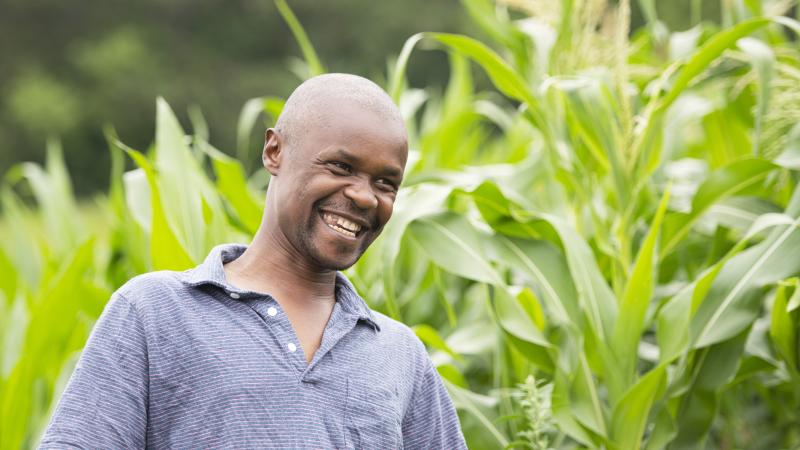 Moses Dawn to Dusk Farms A Black male farmer standing in his cornfield smiling