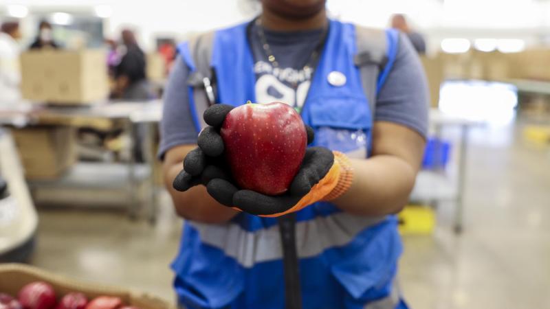A volunteer holds an apple in the Volunteer Center