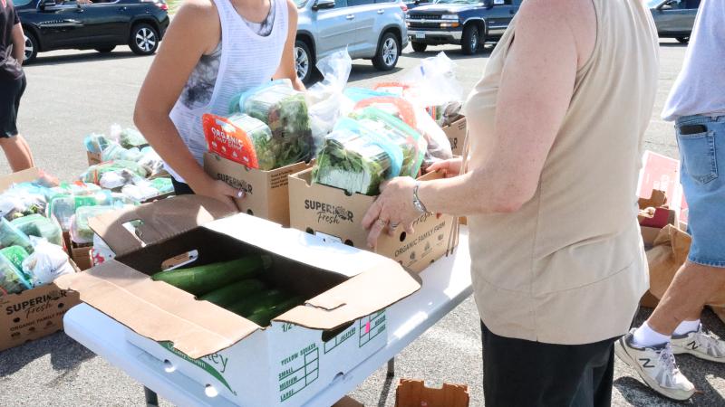 belle plaine produce distribution belle plaine produce distribution