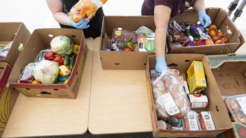 Food being packed into boxes.