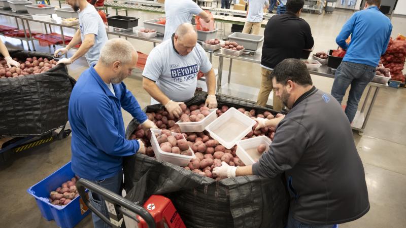 Group of men sorting through potatoes during a volunteer packing shift