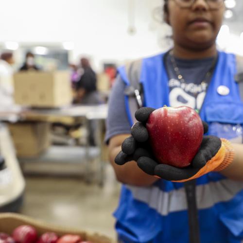 A volunteer holds an apple in the Volunteer Center