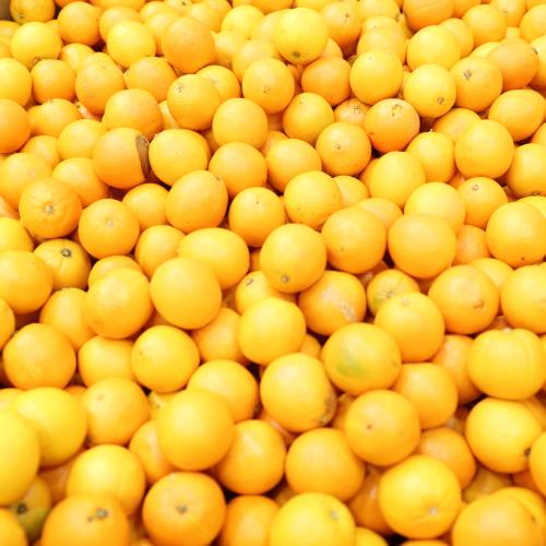 Oranges at the food bank