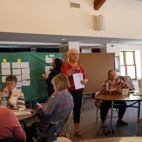 A woman addresses a crowd at a planning meeting