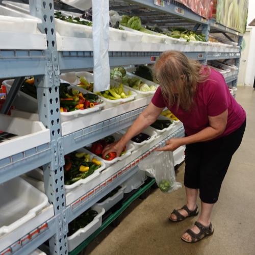 Woman in pink shirt picking out produce from a shelf of bins