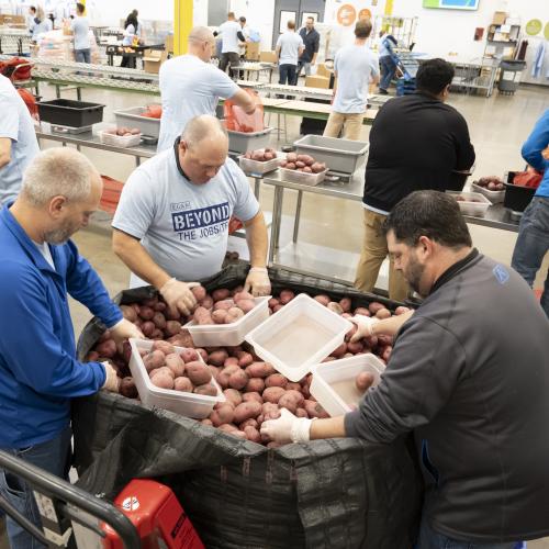 Group of men sorting through potatoes during a volunteer packing shift
