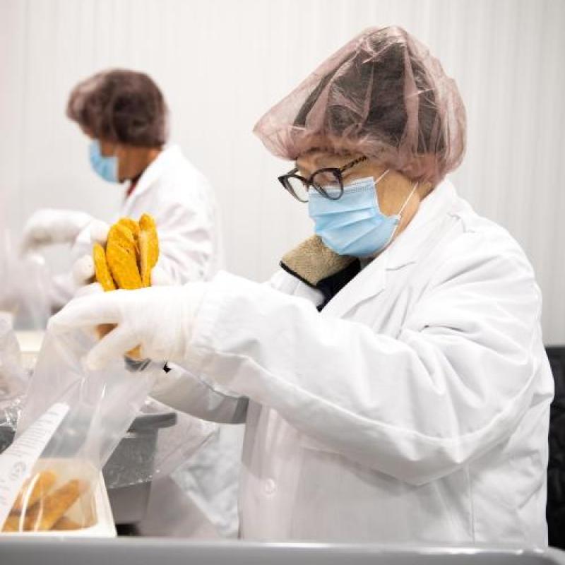 A person working in the clean rooms wearing hair net and gloves