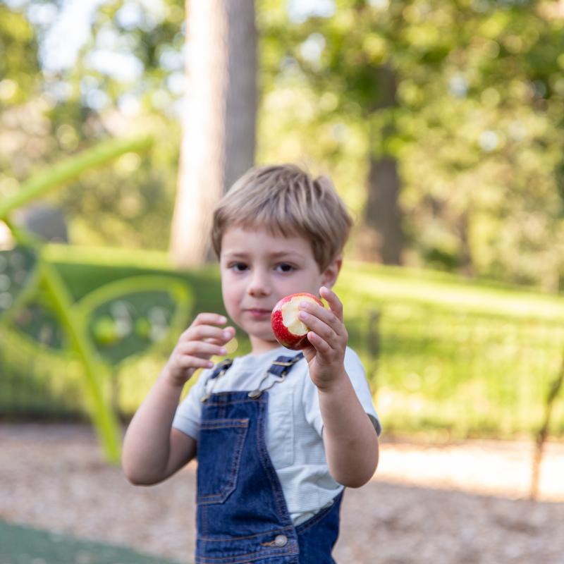 Little boy outside holding an apple