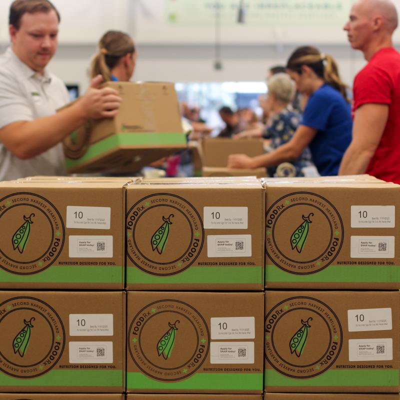 FOODRx Boxes