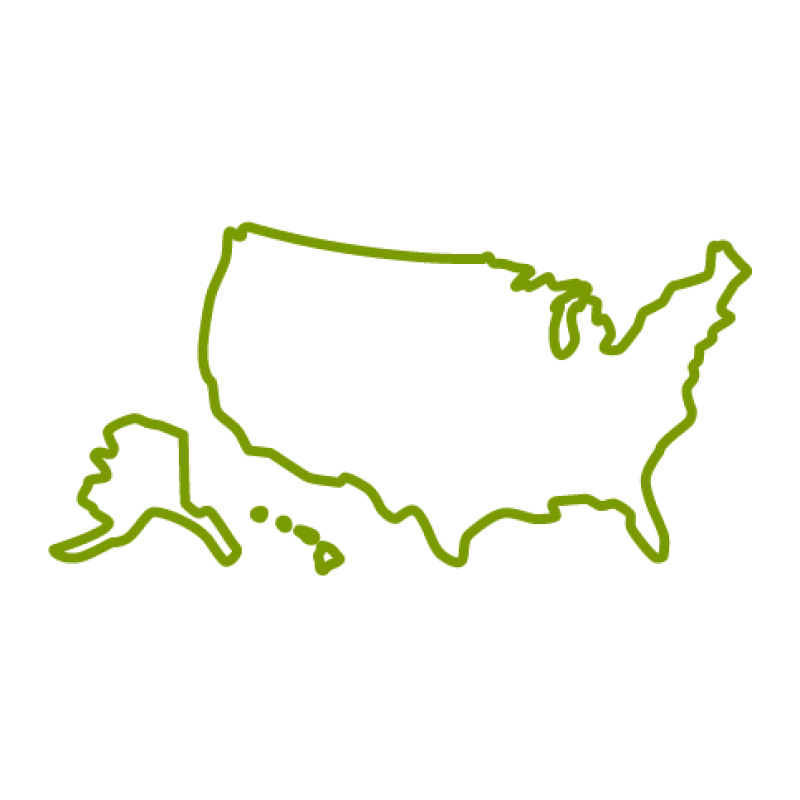 Icon of the United States