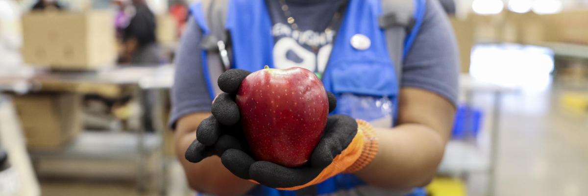 Volunteer holding apple