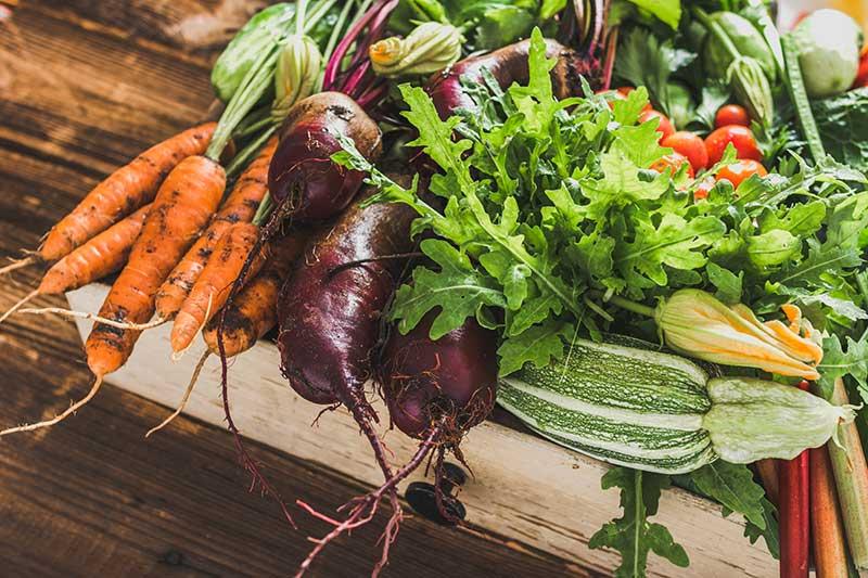 Picture of fresh vegetables