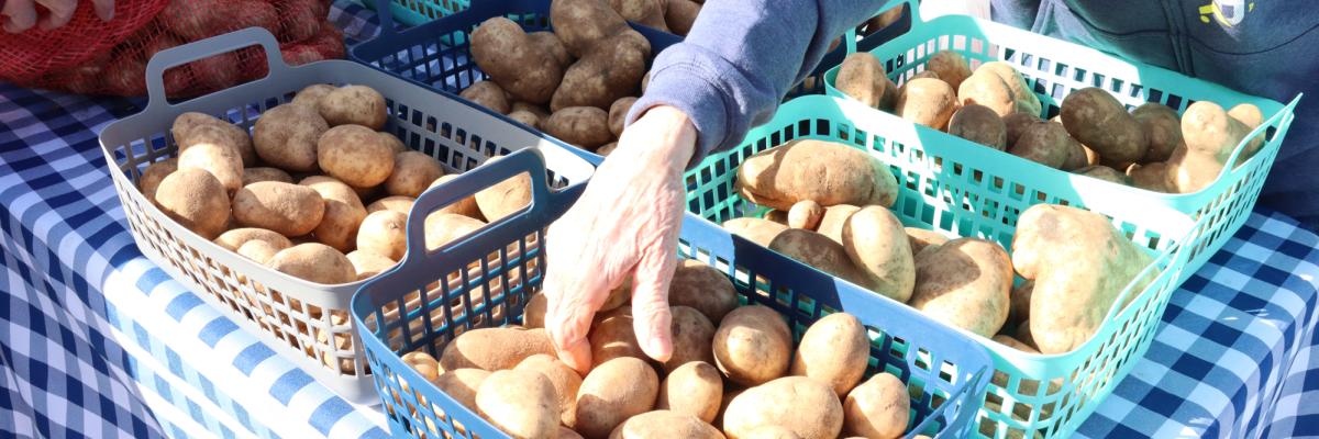Produce Distribution Potatoes White Bear Lake