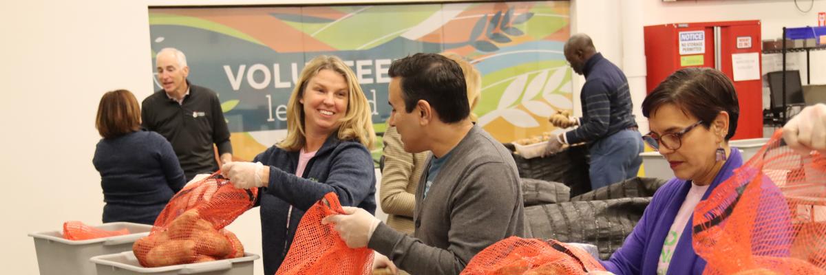 Executive team Volunteering