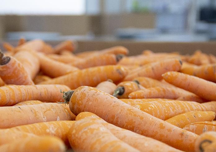 carrots carrots