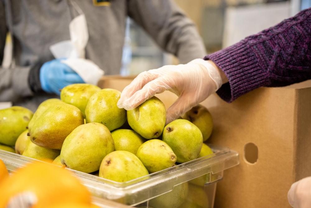 A gloved hand reaches for a pear