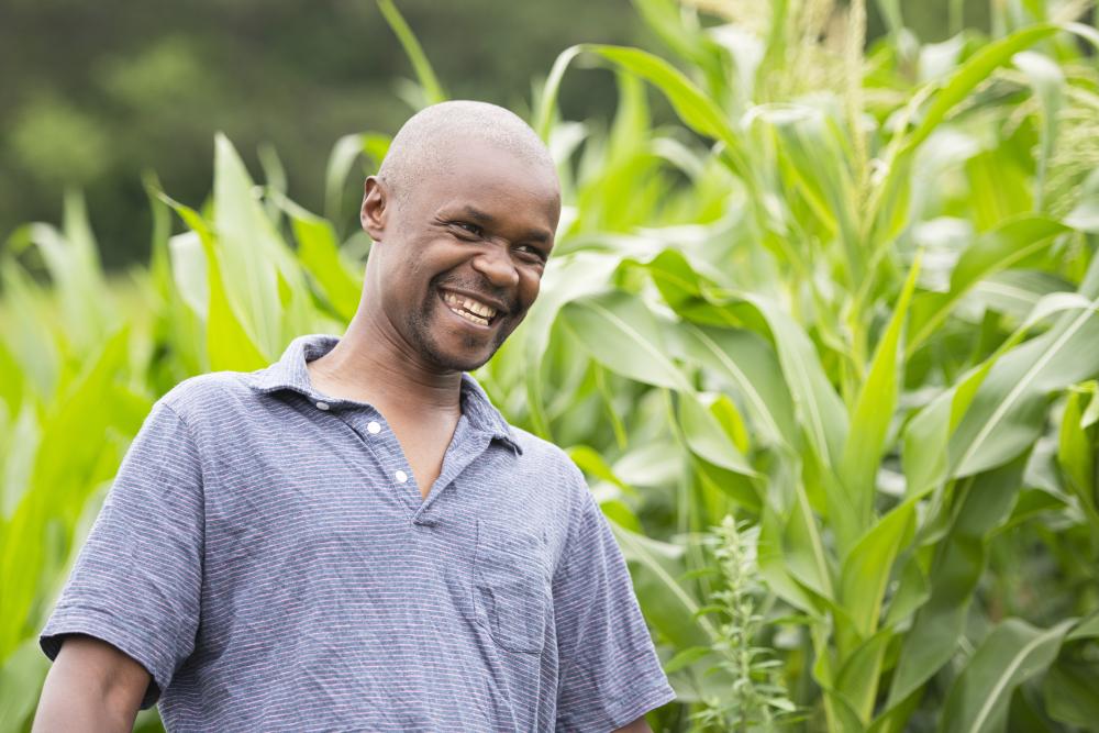 A Black male farmer standing in his cornfield smiling