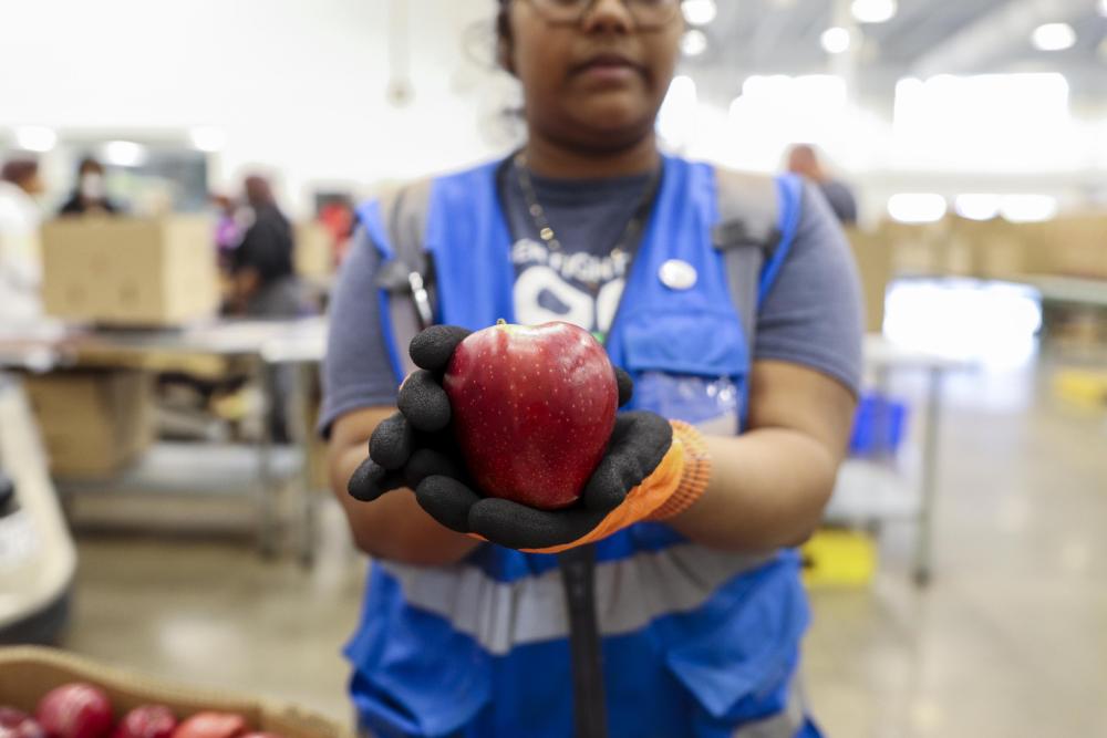 A volunteer holds an apple in the Volunteer Center