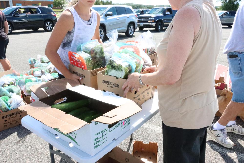 belle plaine produce distribution