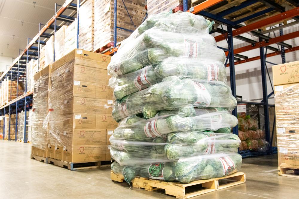 Pallet of cabbage in warehouse