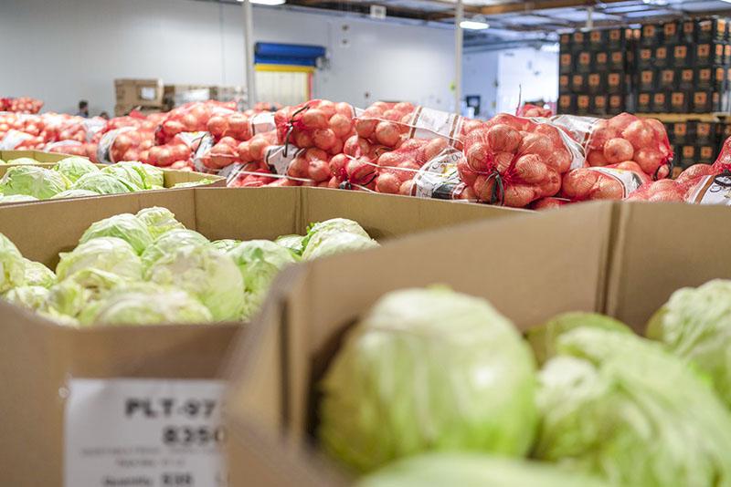 Lettuce and Onions in Warehouse