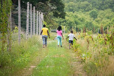 Kids walk through farm field