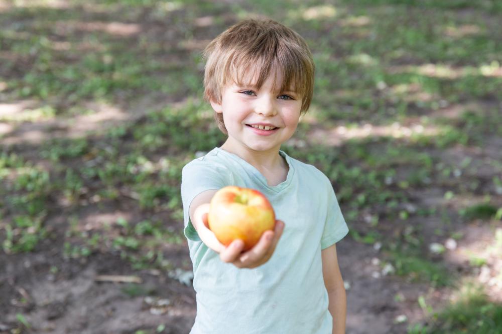 Young boy holding an apple