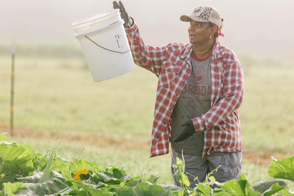 Farmer in a field