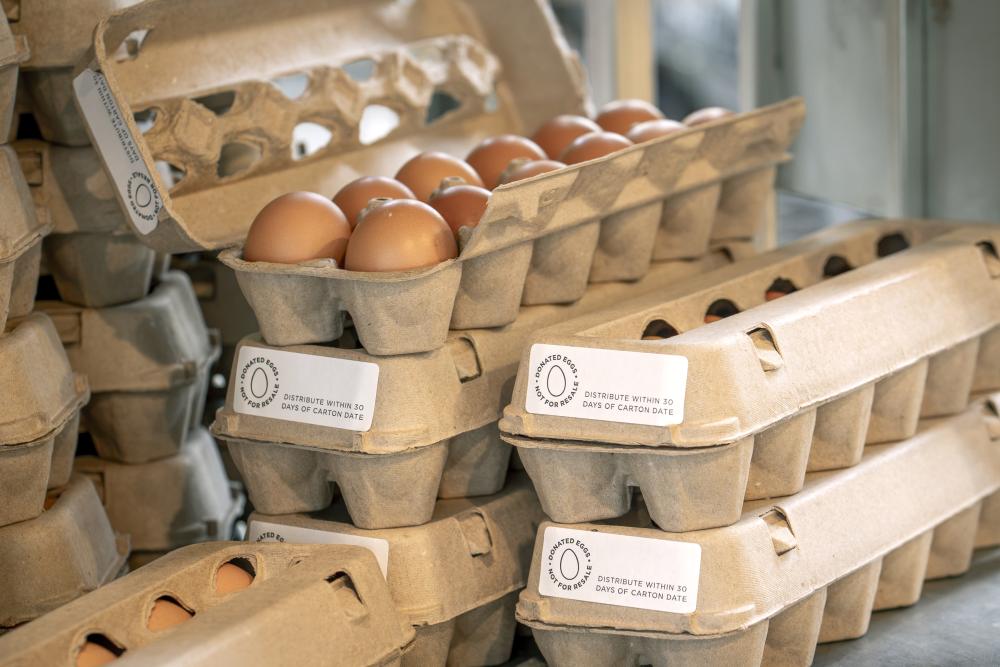 Egg Cartons