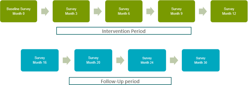 Survey Schedule Graphic