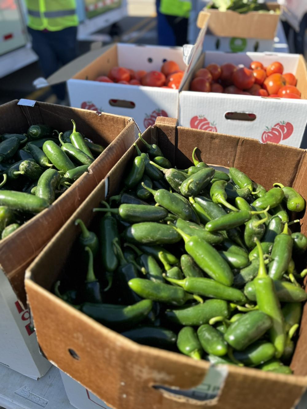 Jalapeno peppers & Tomatoes in boxes