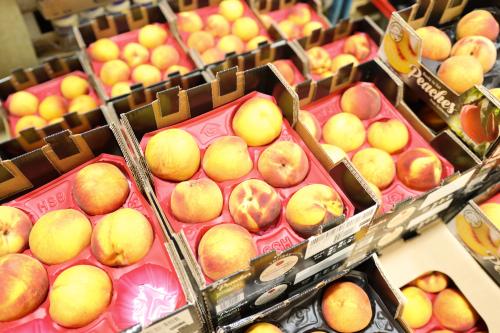 Boxes of fresh peaches