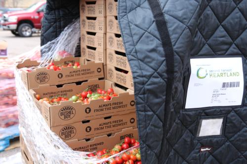 Crates of fresh tomatoes