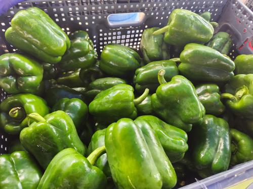 A bunch of green bell peppers