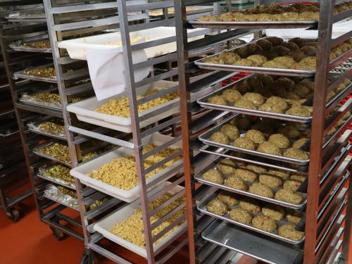 A tray of food in a freezer