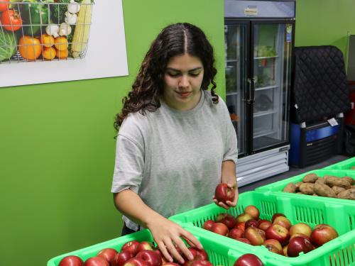 Young woman in a gray shirt picking red apples from a bin