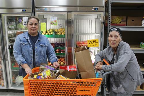 Two women with a shopping cart looking at the camera
